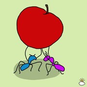Μυρμήγκια¨Υποστήριξη, σκληρή δουλειά, και ενόχληση
