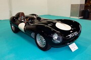 Jaguar D-Type (1955)
