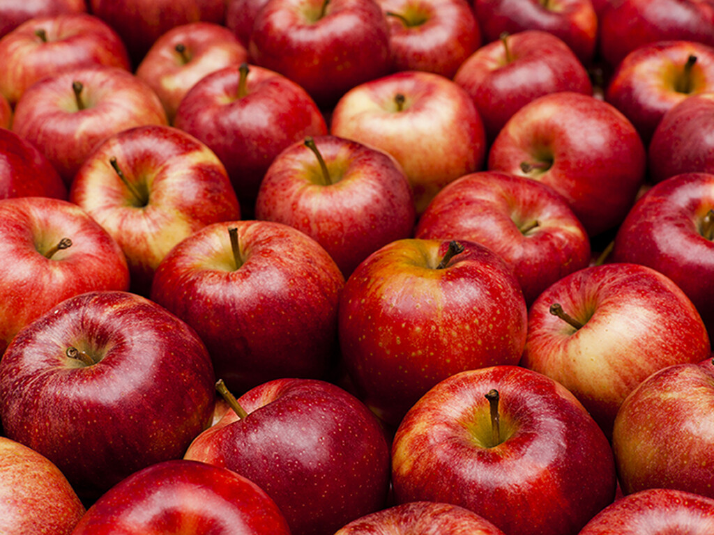 Τι δεν πρέπει να βάζεις: Μήλα