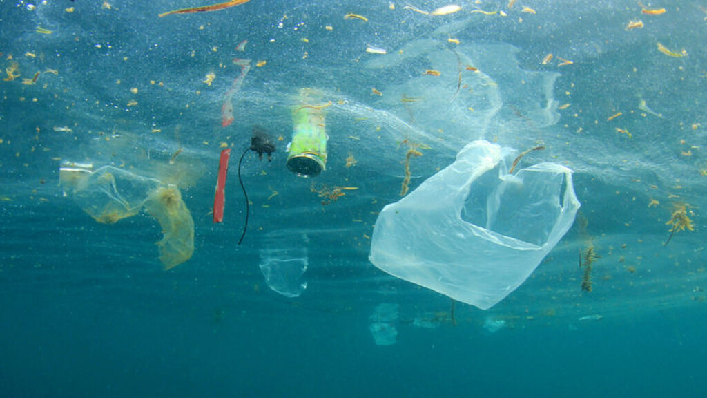 Αίσχος: Δείτε τι σκουπίδια έχουν πεταχτεί σε ελληνικές θάλασσες!