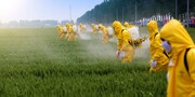 Αυξάνονται οι κίνδυνοι παγκόσμιας μόλυνσης λόγω της χρήσης φυτοφαρμάκων στη γεωργία