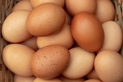 8 Οκτωβρίου Παγκόσμια Ημέρα Αυγού
