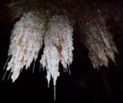 Ο επισκέπτης μπορεί να θαυμάσει τον υπέροχο διάκοσμο από σταλακτίτες και σταλαγμίτες (υποβρυχίως αλλά και πάνω από την επιφάνεια του νερού), καθώς και να δει απολιθωμένα οστά, τα οποία βρίσκονται ενσωματωμένα στα πετρώματα του σπηλαίου.