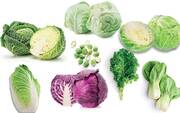 Σταυρανθή Λαχανικά...

Πρέπει να προσθέσεις στην διατροφή σου τα σταυρανθή λαχανικά όπως το λάχανο, λαχανάκια Βρυξελλών, λαχανίδα kale, μπρόκολο και κουνουπίδι. Αυτά τα λαχανικά έχουν μια ένωση που ονομάζεται di-indole-methane ή αλλιώς DMI, η οποία δεσμεύει την περίσσεια οιστρογόνων και στην συνέχεια την διώχνει από το σώμα σου. Επίσης η DMI μπλοκάρει το ένζυμο αρωματάση, το οποίο μπορεί να μειώσει την τεστοστερόνη στην άχρηστη μορφή DHT. Μπορεί να μην είσαι φαν των λαχανικών αλλά αυξάνοντας την εβδομαδιαία πρόσληψη τους στην διατροφή σου μπορεί να αυξήσεις την τεστοστερόνη σου μακροπρόθεσμα. Φάε μια λαχανοσαλάτα με το μπιφτέκι σου ή πρόσθεσε kale στην ομελέτα σου.