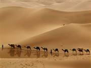  Η Λιβύη είναι η πιο άγονη χώρα στον πλανήτη, με το 99% του εδάφους να είναι έρημος.