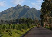 Rwanda: Volcanoes National Park