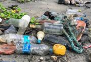 «Δεν είναι τυχαίο λοιπόν ότι στην Ελλάδα κάθε ένας από εμάς παράγει 68 κιλά πλαστικά απορρίμματα, από τα οποία μόλις το 10% οδηγείται στην ανακύκλωση.» Τα υπόλοιπα καταλήγουν κυρίως σε χωματερές, ενώ ένα σημαντικό κομμάτι πλαστικών σκουπιδιών διαρρέει στο φυσικό περιβάλλον ρυπαίνοντας τα χερσαία οικοσυστήματα και φυσικά τις θάλασσές, στις οποίες ταξιδεύουν κάθε χρόνο σχεδόν 11.500 τόνοι πλαστικών.

