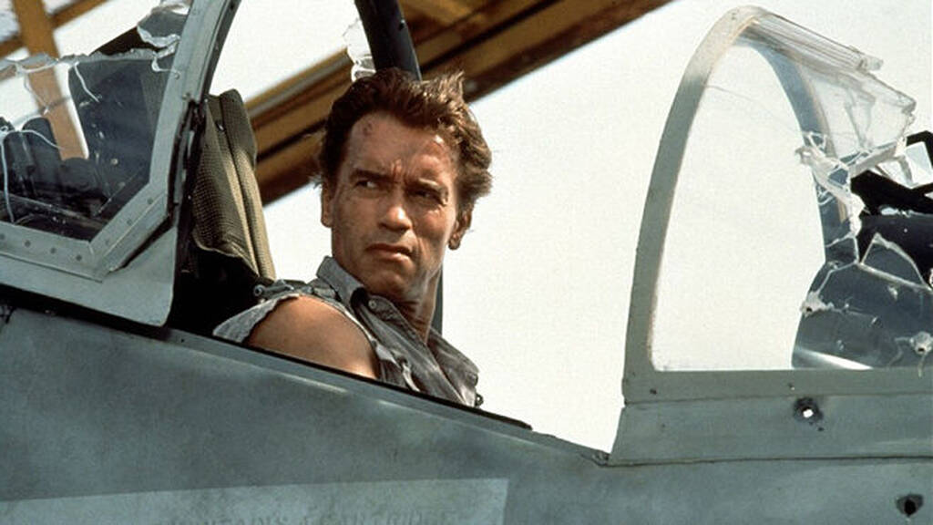 Arnold Schwarzenegger - Harry Tasker
