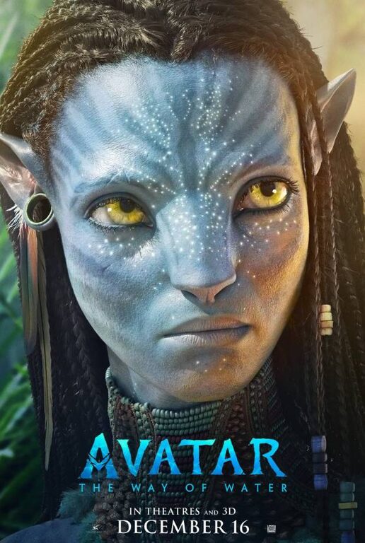 Το «Avatar: The Way of Water» διαδραματίζεται σεναριακά μία δεκαετία και πλέον μετά τα γεγονότα της πρώτης ταινίας και ακολουθεί την προσπάθεια της οικογένειας Σάλι να κρατήσει ο ένας τον άλλο ασφαλή, τις μάχες που δίνουν για να παραμείνουν ζωντανοί και τις τραγωδίες που υπομένουν. 

