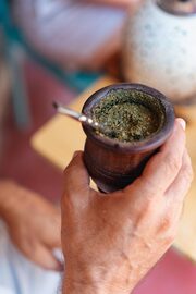 Το Yerba mate ή yerba-maté είναι ένα είδος φυτού του γένους Ilex πουρνάρι, ιθαγενές στη Νότια Αμερική. Ονομάστηκε από τον Γάλλο βοτανολόγο Augustin Saint-Hilaire. Τα φύλλα του φυτού μπορούν να βυθιστούν σε ζεστό νερό για να παρασκευαστεί ένα ρόφημα γνωστό ως mate. Ψημένο κρύο, χρησιμοποιείται για την παρασκευή τερερέ.