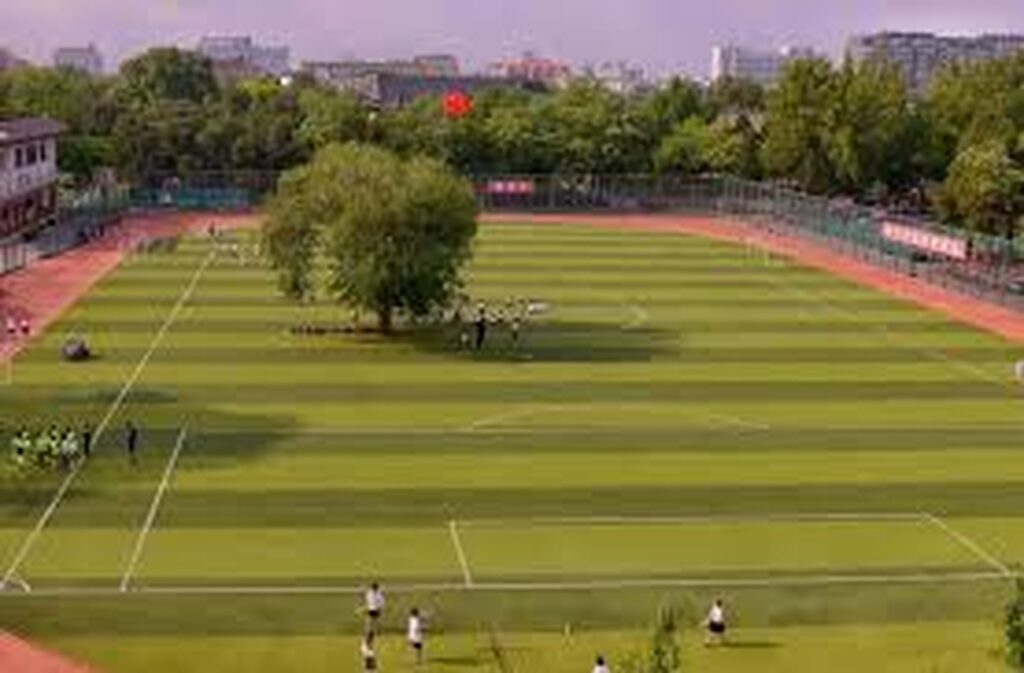 Chinese School Stadium (Πεκίνο): Αν δεν έχεις αμυντικό χαφ το δέντρο στη μέση κόβει το πάντα! 
