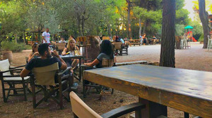 Το καφέ σε αυτή την καταπράσινη γωνιά της Αθήνας θα γεμίσει δροσιά το είναι σου