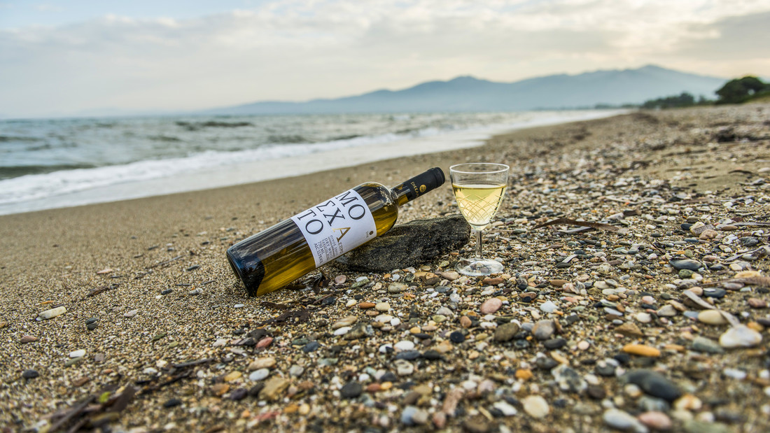 Μοσχάτο Άσπρο: Νέο ξηρό κρασί από τον ΕΟΣ Σάμου