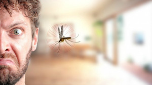 10 πραγματάκια που σου ψιθυρίζουν τα Κουνούπια όταν περνούν δίπλα από το αυτάκι σου