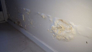 Έτσι θα διώξεις τη μούχλα από τους τοίχους του σπιτιού σου