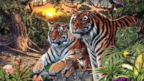 Τρομερό: Πόσες τίγρεις μπορείς να βρεις σε αυτή τη φωτογραφία;