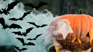Για ποιον λόγο οι νυχτερίδες είναι το σύμβολο - statement του Halloween;