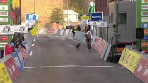 Επικό! Σκύλος πήρε στο κυνήγι ποδηλάτες σε αγώνα! (video)