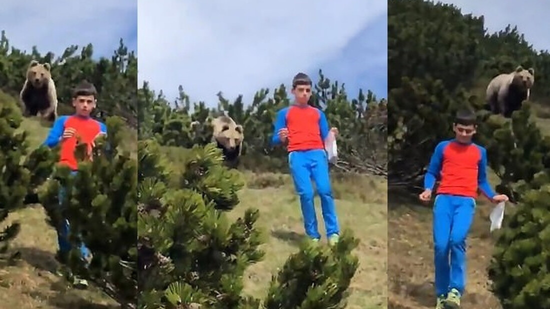 Έκανε πικ νικ με τους γονείς αλλά εμφανίστηκε αρκούδα - Απίστευτη η αντίδρασή του (photos+video)