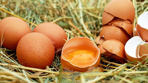 Μικρές κηλίδες στα αυγά - Δεν φαντάζεστε τι είναι (photos)