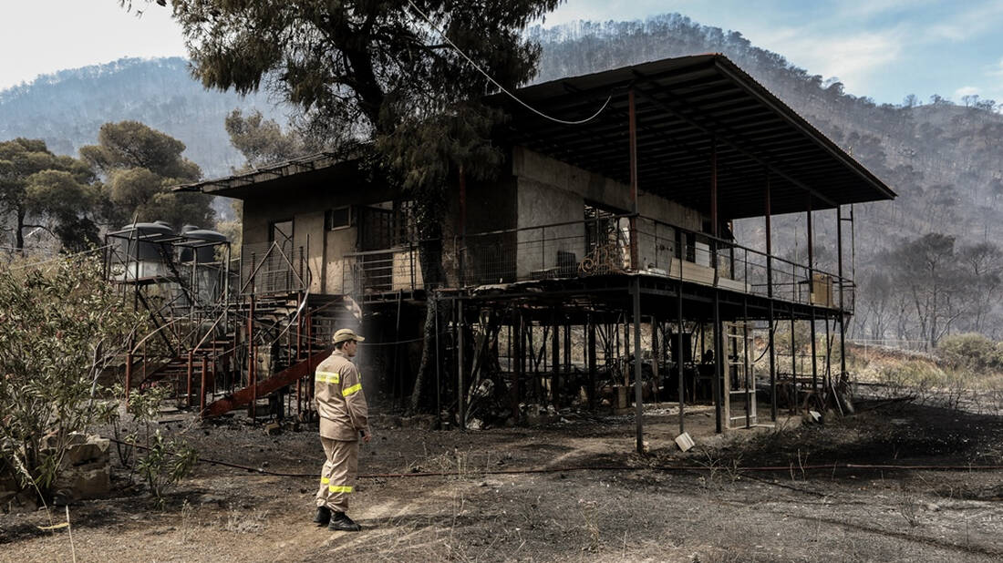 Μαζί με τα δέντρα καίτε και τις ζωές μας