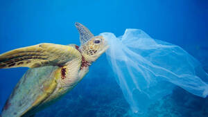 Έρευνα: Γιατί το 84% των πλαστικών του κόσμου ξεβράζεται στη Μεσόγειο;