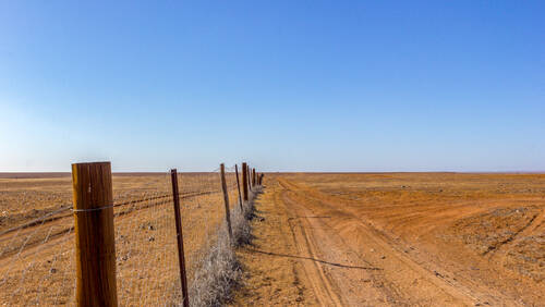 Ο μεγαλύτερος φράχτης του κόσμου έχει μήκος 3.256 χλμ