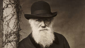 Κάρολος Δαρβίνος: Τελικά είχε δίκιο για την εξέλιξη ή μήπως κάτι του ξέφυγε;