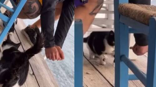 Στις πόσες μπιρίτσες δικαιούσαι να κανιβαλίζεις; Στις πόσες μπιρίτσες δικαιούσαι να κανιβαλίζεις;