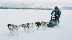 Fjällräven Polar: Διεκδίκησε μία θέση στον Αρκτικό Κύκλο πάνω σε έλκηθρο τον Απρίλιο 2023