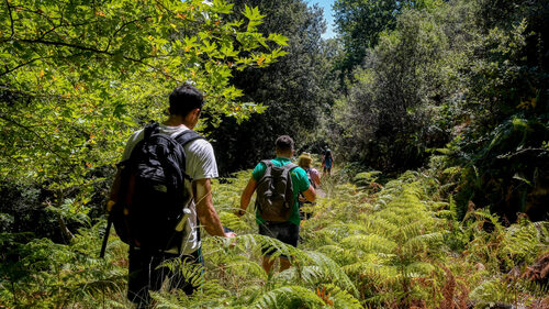 Μια μονοήμερη εκδρομή είναι η απάντηση στα «πιεσμένα» τριήμερα  