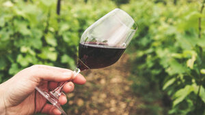 Μαυροδάφνη: Γιατί το κρασί της Πάτρας είναι «αδικημένο»;