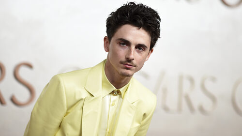 Το κοστούμι του Timothee Chalamet «έβγαζε μάτι» στη βραδιά των Όσκαρ