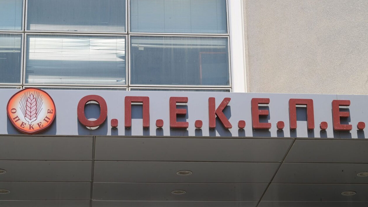 Πόσες ελιές χωράει ένα αεροδρόμιο; Ρώτα τον ΟΠΕΚΕΠΕ