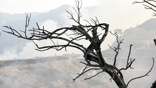 Το “βγάλε τον σκασμό και πιες τον καφέ στον κλιματισμό σου” δεν ήταν απλώς μία έκρηξη οργής