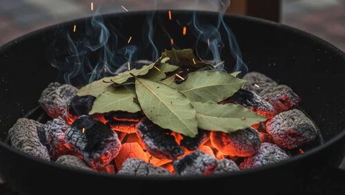 Ρίξτε φύλλα δάφνης στα κάρβουνα - Γιατί το προτείνουν