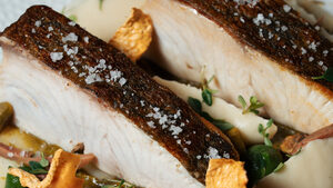 YDORON: Μια νέα εποχή στη θαλάσσια γαστρονομία