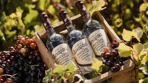 Άναψαν τα καζάνια στον Τύρναβο – Η φετινή σοδειά απογειώνει το Δεκαράκι