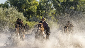 Πριν από 8 χρόνια το Netflix κυκλοφόρησε αθόρυβα ένα καλύτερα από τα Western