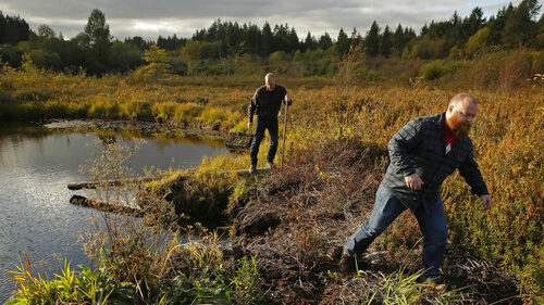 Οι παραγωγοί whisky θα επενδύσουν εκατομμύρια για την αποκατάσταση της τύρφης στο Islay