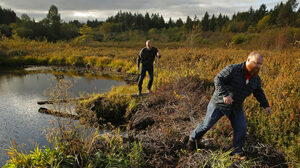 Οι παραγωγοί whisky θα επενδύσουν εκατομμύρια για την αποκατάσταση της τύρφης στο Islay