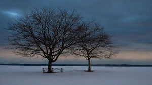 Μελαγχολία του Ιανουαρίου: Γιατί η νέα χρονιά σε βρίσκει πιο ευάλωτο συναισθηματικά