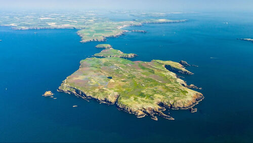 Θα άφηνες τα πάντα για να ζεις τζάμπα στο πιο άκυρo νησί;